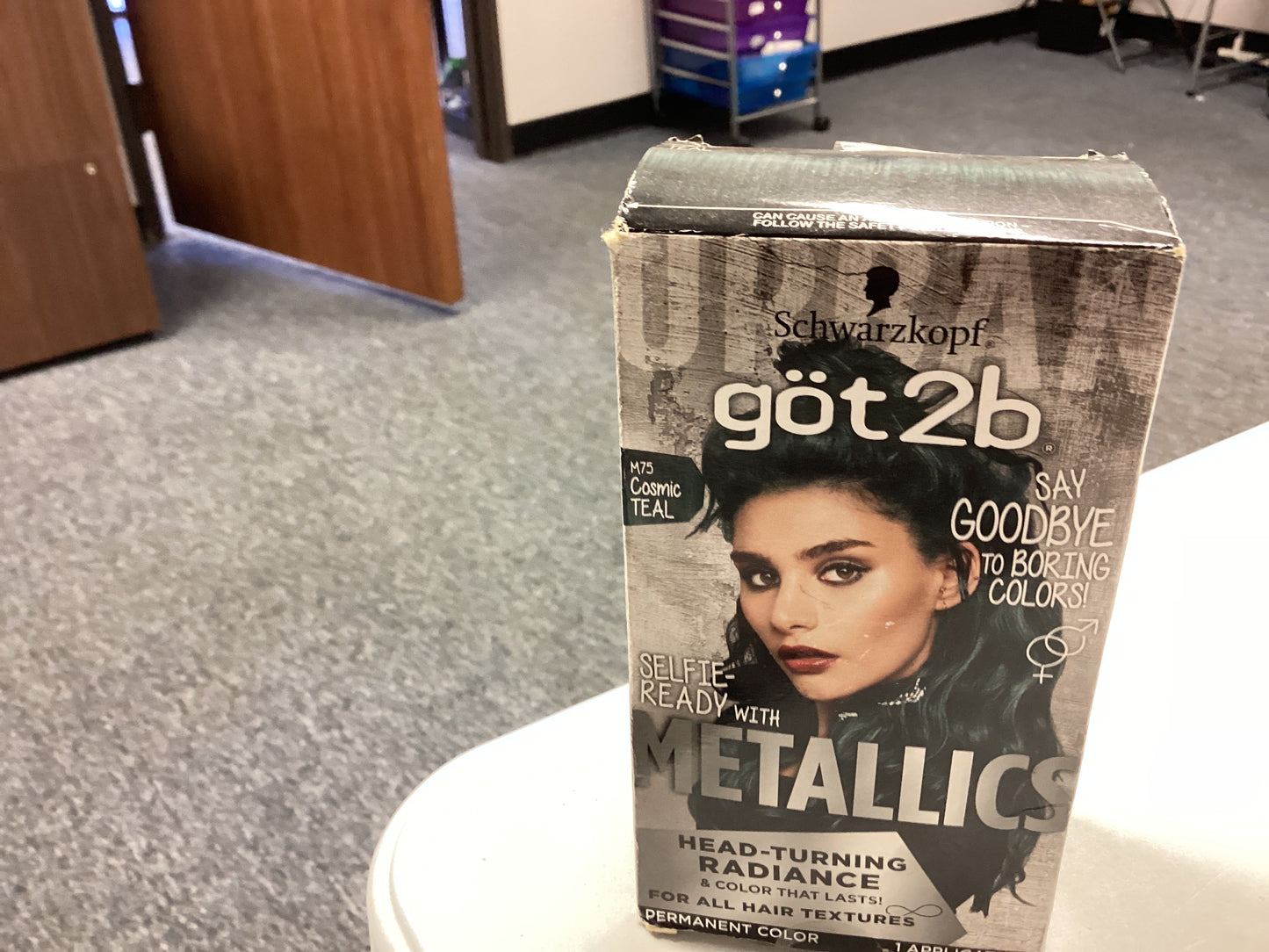 Got 2b hair dye