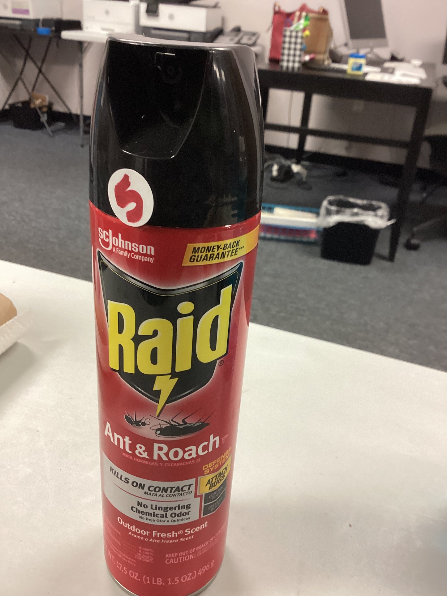 Raid Ant & Roach killer spray