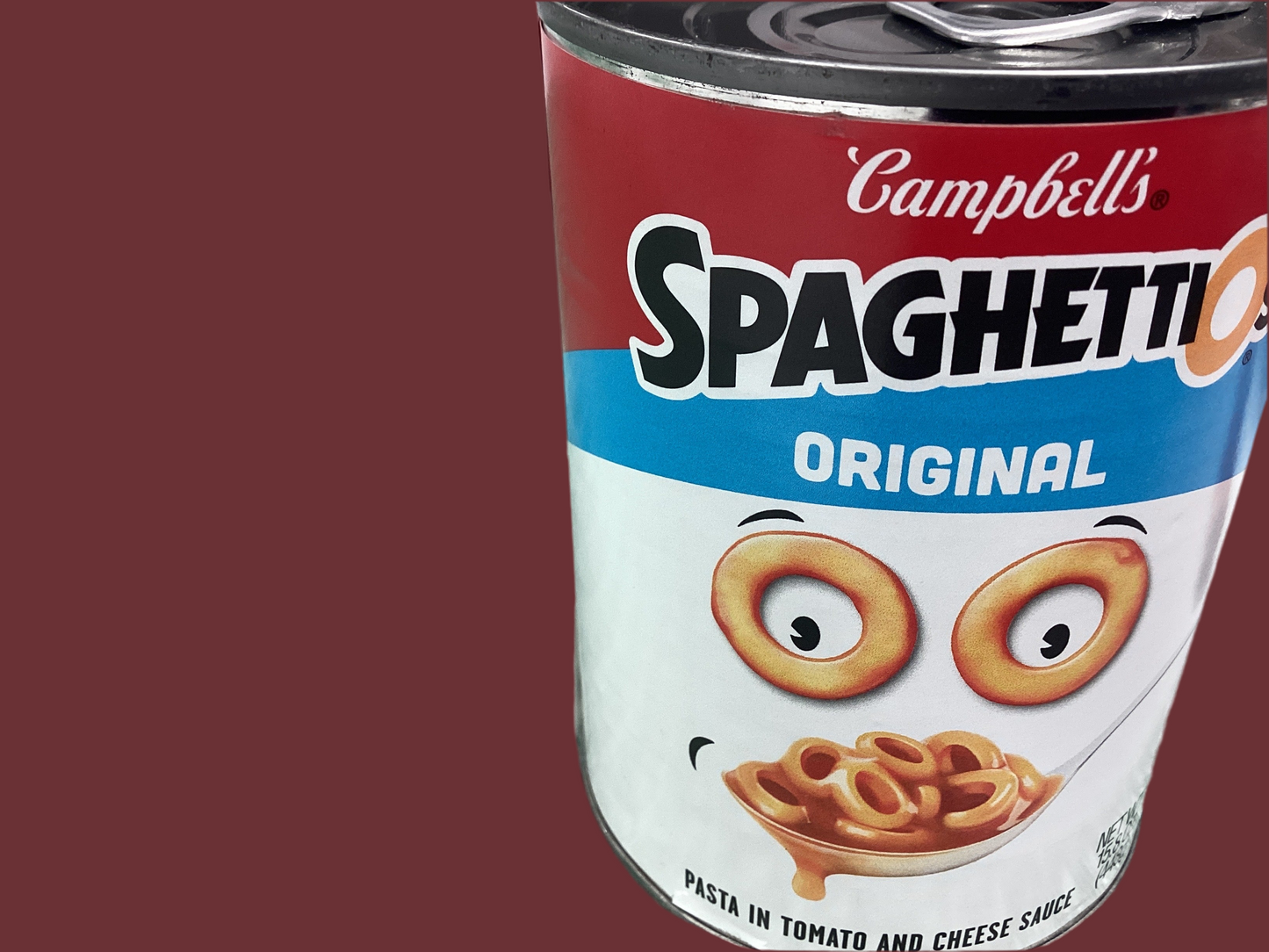 Campbell’s Spaghettios (can)