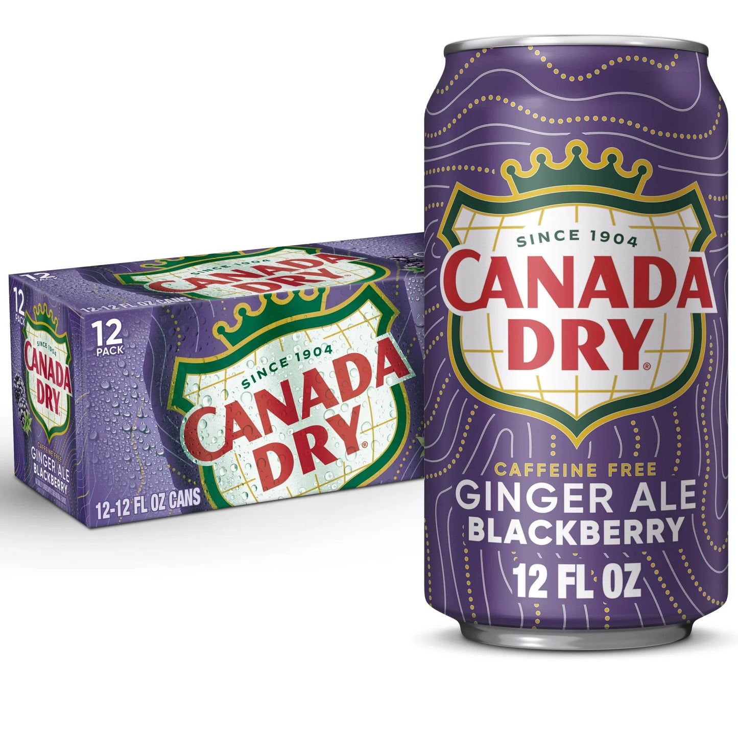 Canada Dry Ginger Ale soda (varieties)