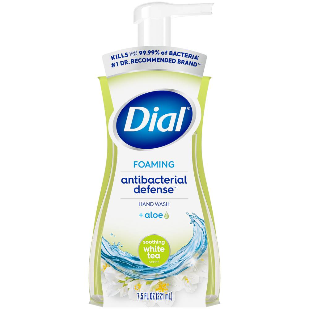 Dial foaming hand soap