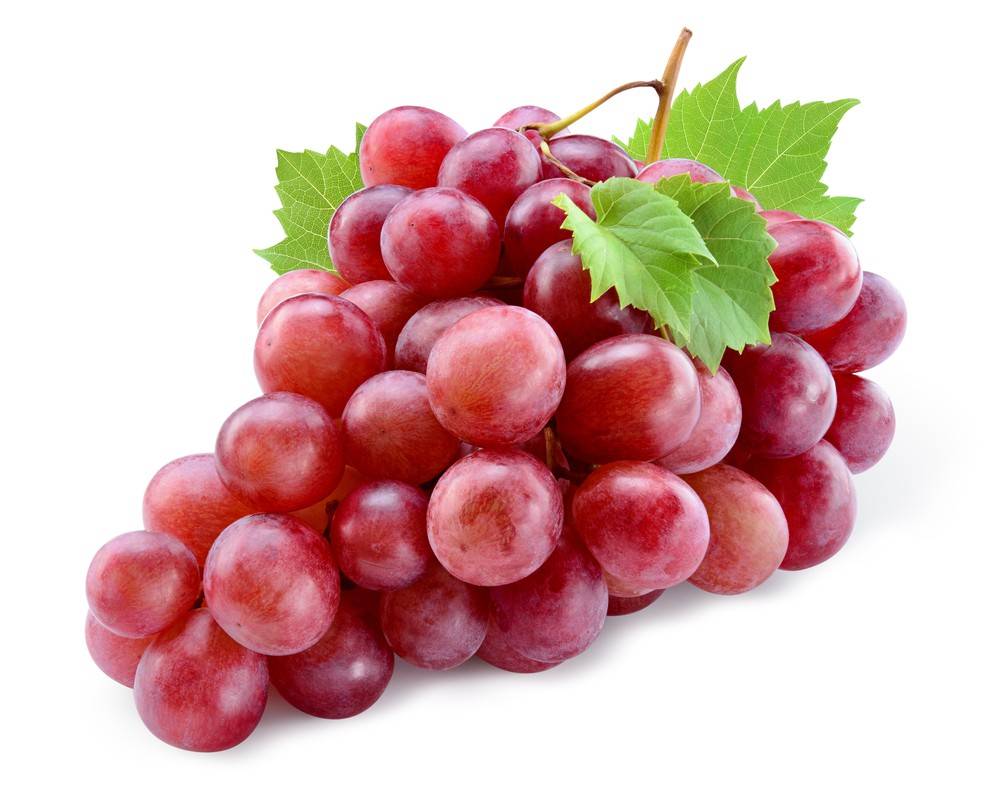 Green or red seedless Grapes
