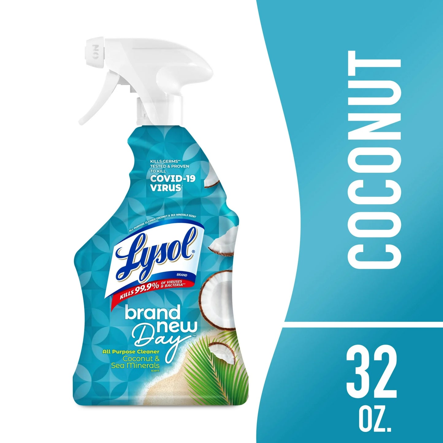 Lysol all-purpose cleaner spray (variety)